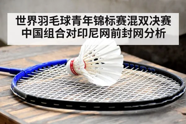 世界羽毛球青年锦标赛混双决赛中国组合对印尼网前封网分析