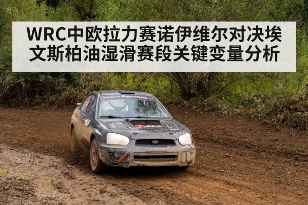 WRC rally car rain spray
